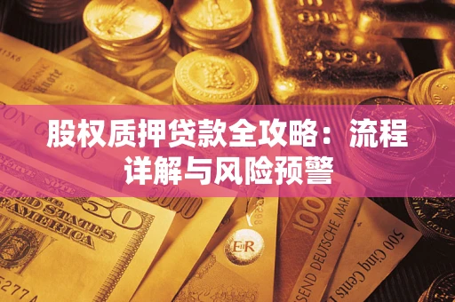 武汉股权质押贷款全攻略：流程详解与风险预警