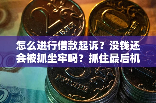 武汉怎么进行借款起诉？没钱还会被抓坐牢吗？抓住最后机会！