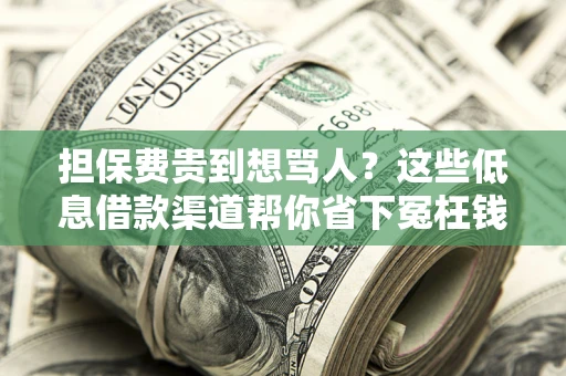 武汉担保费贵到想骂人？这些低息借款渠道帮你省下冤枉钱