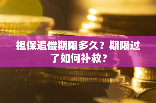 武汉担保追偿期限多久？期限过了如何补救？