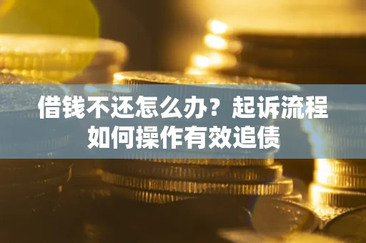 武汉借钱不还怎么办？起诉流程如何操作有效追债