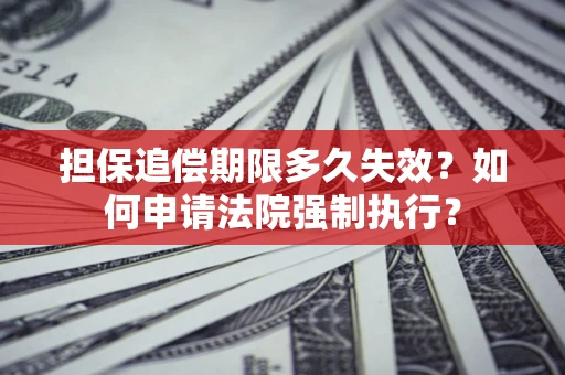 武汉担保追偿期限多久失效？如何申请法院强制执行？