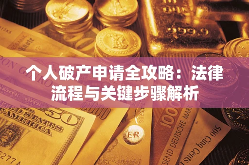 武汉个人破产申请全攻略：法律流程与关键步骤解析